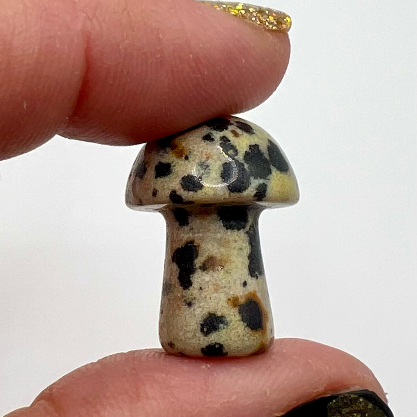 Dalmatian Jasper Miniature Mushroom