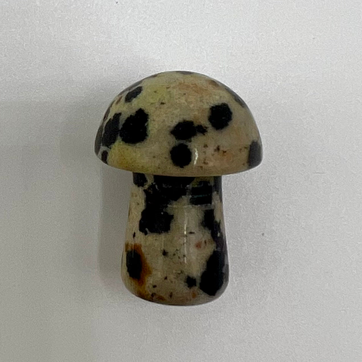 Dalmatian Jasper Miniature Mushroom